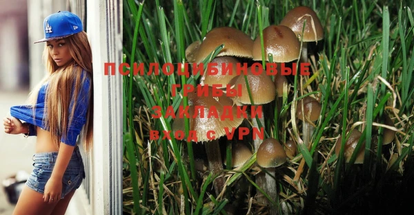 дурь Михайловка
