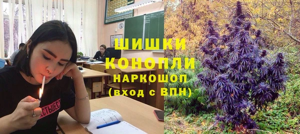 ешки Михайловск