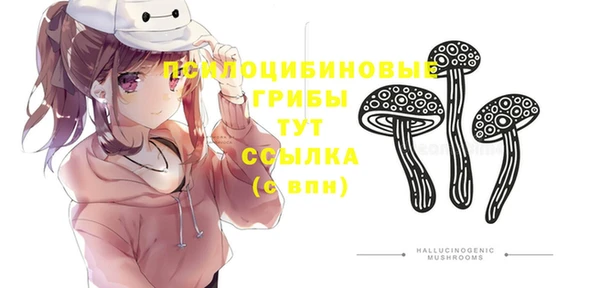 дурь Михайловка