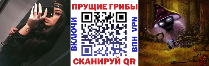 Псилоцибиновые грибы Psilocybine cubensis  hydra маркетплейс  Инсар  купить  цена 