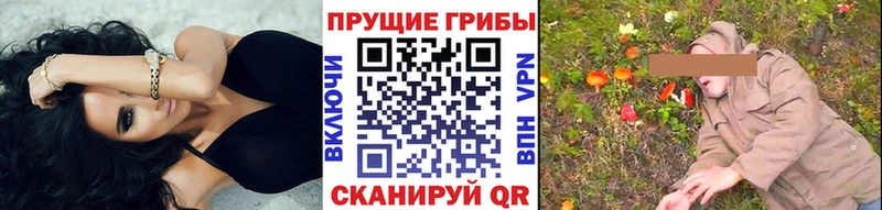 Псилоцибиновые грибы Psilocybine cubensis Инсар